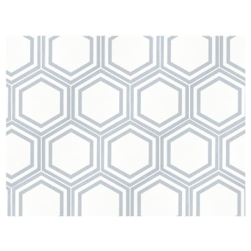8" Hanson Hexagon | Azul with White Background - Matte | Parson Glazed Porcelain Tile