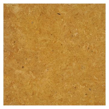 12" square tile in polished Golden Amber limestone.