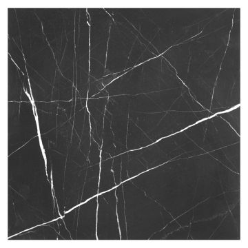 12" Square tile in honed Nero Marquina marble.