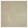 12" x 12" Marble Tile | Monica Dark - Polished | Stone Tile Collection