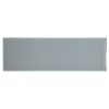 4" x 12" Field Tile | Ganders Gray - Gloss | Phenomena Glass Collection