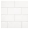 3" x 6" Marble Tile | Thassos Select - Honed | Stone Tile Collection