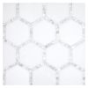 3-3/8" Framed Hexagon | Thassos - White Shell - Polished | Marble Mosaic Tile