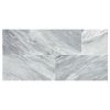 6" x 12" Marble Tile | Bardiglio Turno - Polished | Stone Tile Collection