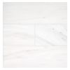 4" x 12" Marble Tile | Ice Cap Mist - Honed | Stone Tile Collection