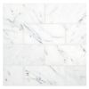 3" x 6" Marble Tile | Statuary - Polished | Stone Tile Collection