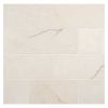 3" x 6" Marble Tile | Crema Soro - Honed | Stone Tile Collection