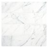 3" x 6" Marble Tile | Statuary - Honed | Stone Tile Collection
