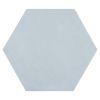 8" Hexagon | Azul - Matte | Parson Glazed Porcelain Tile