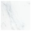 12" x 12" Marble Tile | White Blossom Ultra Premium - Polished | Stone Tile Collection