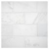 3" x 6" Marble Tile | White Blossom Ultra Premium - Polished | Stone Tile Collection