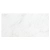 12" x 24" Marble Tile | White Blossom Ultra Premium - Polished | Stone Tile Collection
