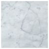 6" x 6" Square Solid | Carrara Claro Light - Honed | Art of Deco Marble Tile