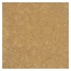 12" x 12" Limestone Tile | Golden Amber - Honed | Stone Tile Collection