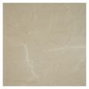 12" x 12" Marble Tile | Monica Dark - Polished | Stone Tile Collection