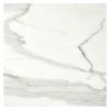 12" x 12" Marble Tile | Calacatta Gold - Honed | Stone Tile Collection