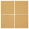3" x 3" Field Tile | Harvest - Matte | McIntones Ceramics