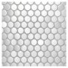 1/2" Penny Round | Stainless Steel - Brushed | Metal Mosaic Collection