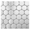 1" Penny Rounds | Stainless Steel - Satin Brushed | Metal Mosaic Collection