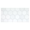 2" Hexagon | Thassos - Polished | Marble Mosaic Tile