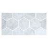 3" Hexagon | Carrara - Polished | Marble Mosaic Tile