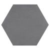 8" Hexagon | Dark Grey - Matte | Parson Glazed Porcelain Tile