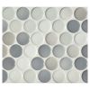1" Penny Round | Graphite Blend - Gloss | Glazed Porcelain Mosaic Tile