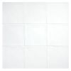 4-3/4" x 4-3/4" Zollage Tile | Blanco Light - Gloss | True Tile Ceramics