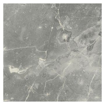 12" square tile in polished Gristone marble.