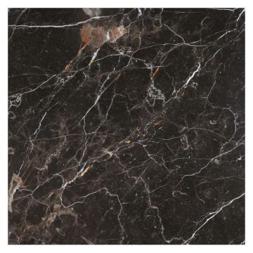12" Square tile in polished New St. Laurent marble.