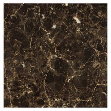 12" Square Tile in polished Kingsley Dark marble.
