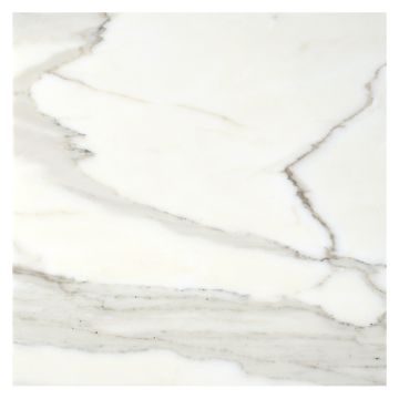 12" square tile in honed Calacatta gold marble.