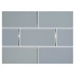 3" x 6"  glass subway tile in Ganders Gray color with a gloss finish.