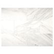 12" x 24" Marble Tile | Daydream - Honed | Stone Tile Collection