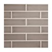 2" x 8" ceramic subway tile in Eucalys color with a gloss finish.