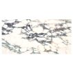 12" x 24" field tile in polished Espectaculo marble.