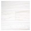4" x 12" field tile in polished Ice Cap Mist marble.