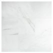12" x 12" Marble Tile | White Blossom Ultra Premium - Honed | Stone Tile Collection