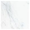 12" Square field tile in polished White Blossom marble.