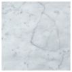 6-inch Square tile in Carrara marble with a honed finish.