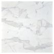12" x 12" Marble Tile | Calacatta Gold - Polished | Stone Tile Collection