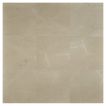 12" x 12" Marble Tile | Monica Dark - Polished | Stone Tile Collection