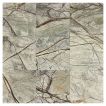 12" x 12" Marble Tile | Earth Storm Green - Polished | Stone Tile Collection