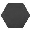8" Hexagon porcelain tile in matte finished Black color.